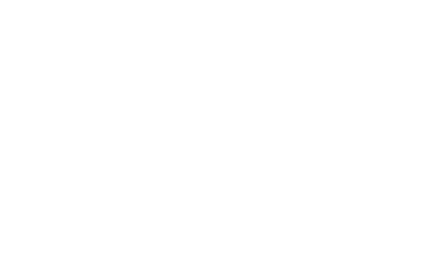 Logo Metalplast